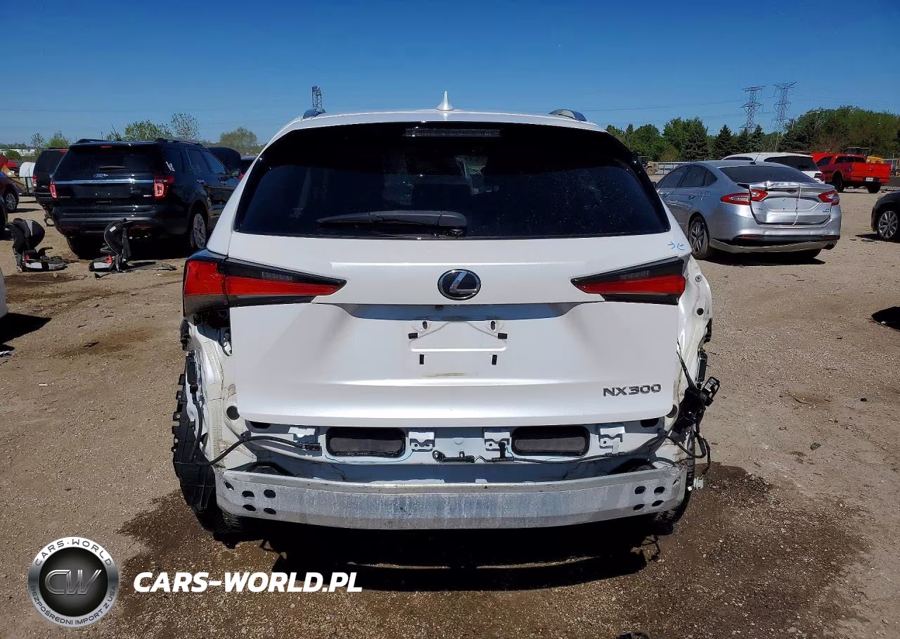 2018 Lexus Nx 300 Base VIN:JTJBARBZXJ2160153 - 6