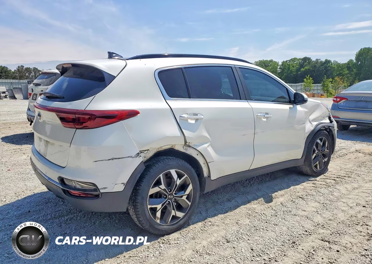 2020 Kia Sportage Ex VIN:KNDPN3AC6L7788787 - 3
