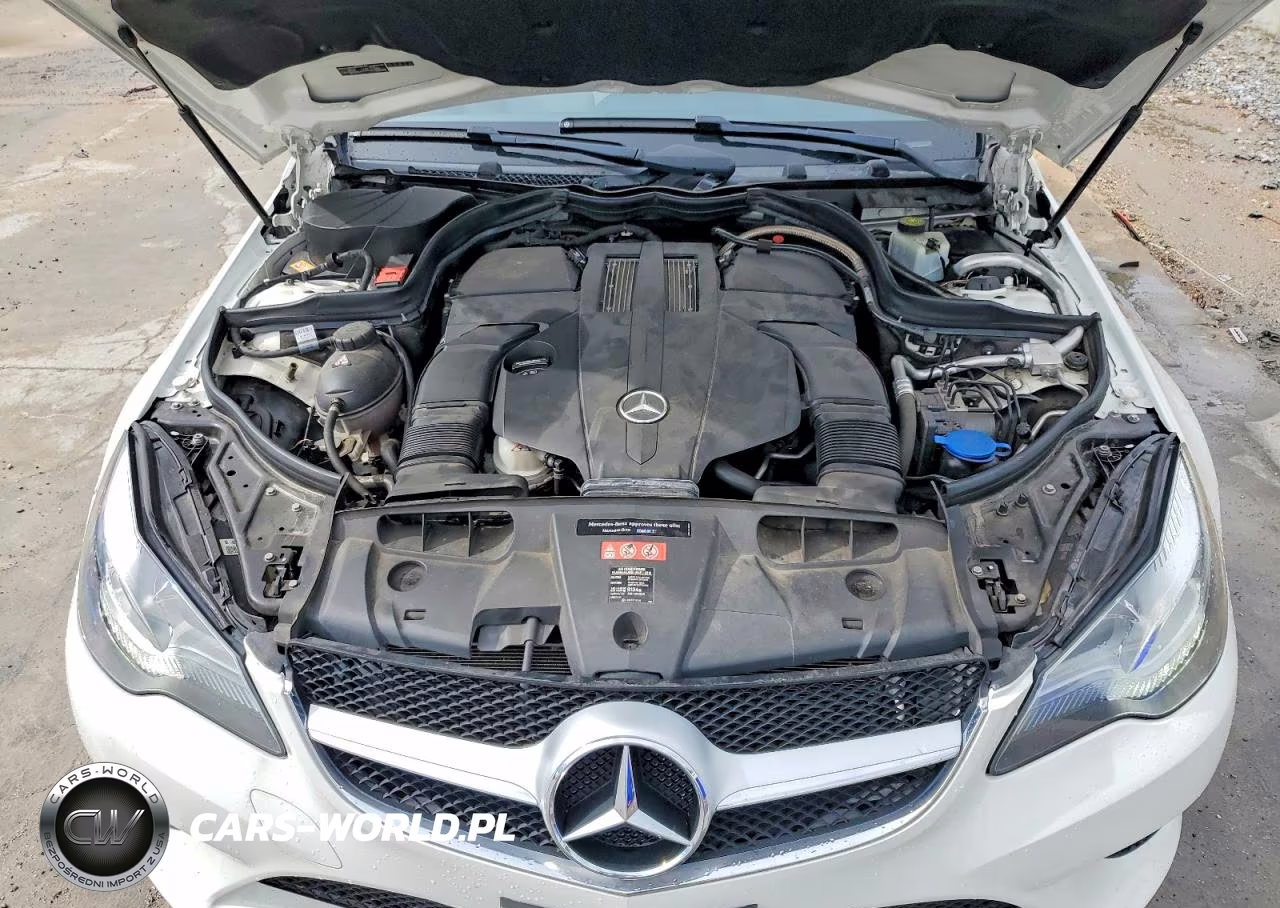 2016 Mercedes-Benz E 400 VIN:WDDKJ6FB7GF323945 - 11