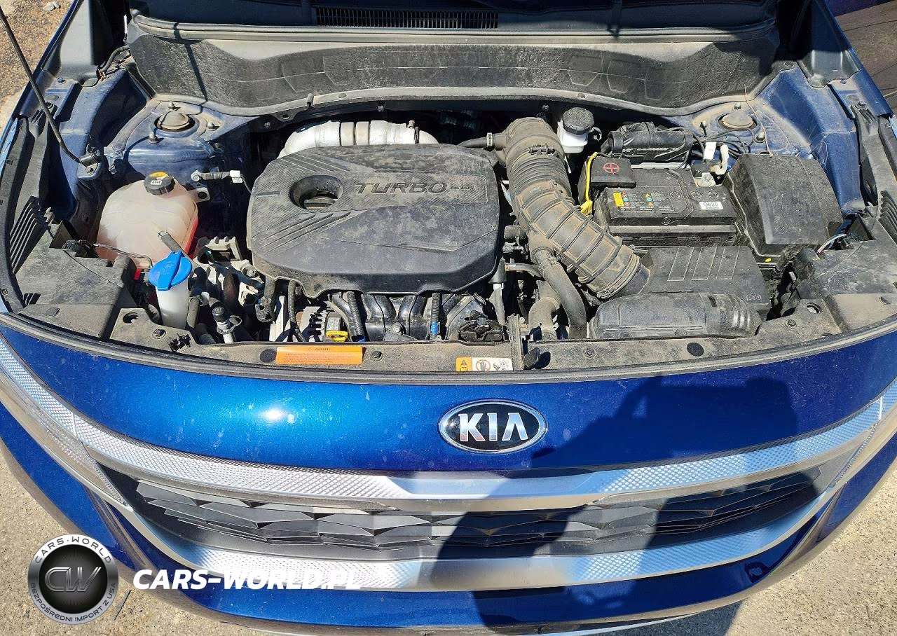 2021 Kia Seltos S VIN:KNDEUCA28M7131024 - 11