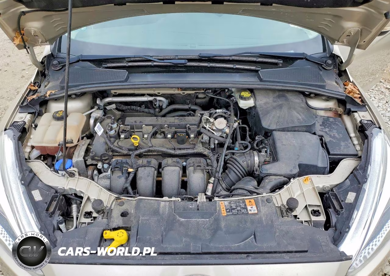 2017 Ford Focus Se VIN:1FADP3F24HL207627 - 11