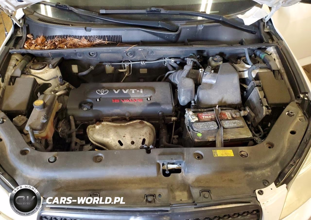 2008 Toyota Rav4 Base VIN:JTMBD33V485204594 - 12