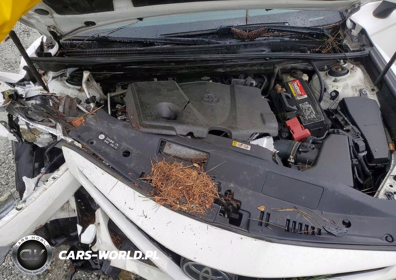 2018 Toyota Camry Se VIN:4T1B11HK5JU140293 - 11