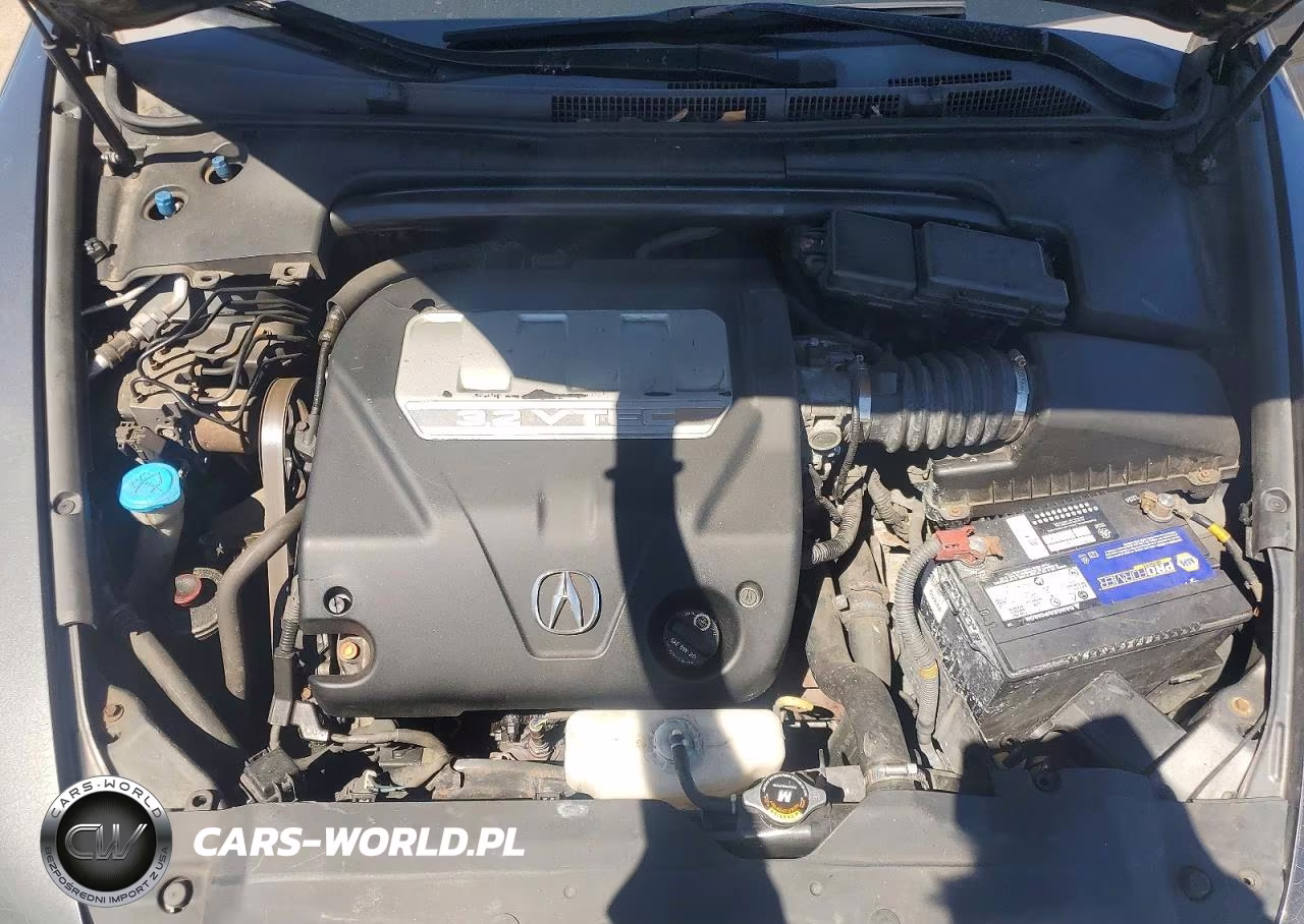 2008 Acura Tl VIN:19UUA66298A003206 - 11