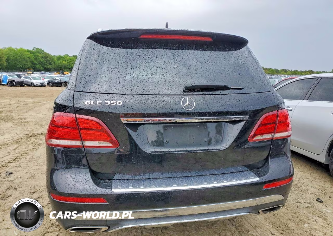 2017 Mercedes-Benz Gle 350 VIN:4JGDA5JB1HA816888 - 6