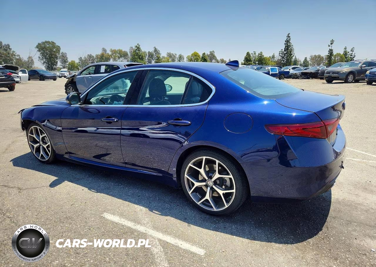 2019 Alfa Romeo Giulia Ti VIN:ZARFAMBNXK7604078 - 2