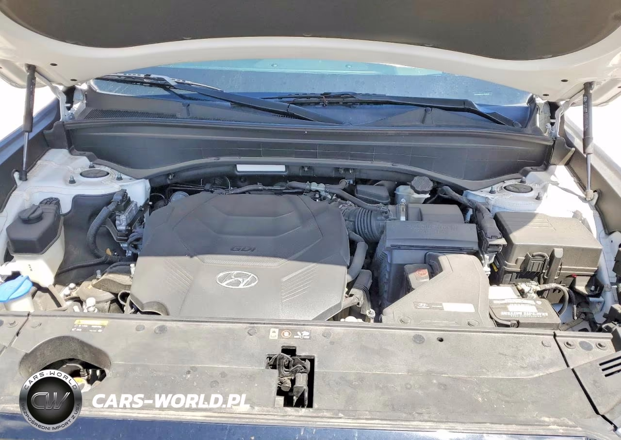 2020 Hyundai Palisade Limited VIN:KM8R5DHE0LU108546 - 12