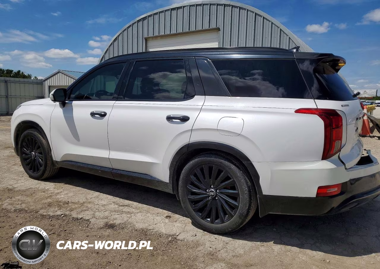 2020 Hyundai Palisade Limited VIN:KM8R5DHE0LU108546 - 2