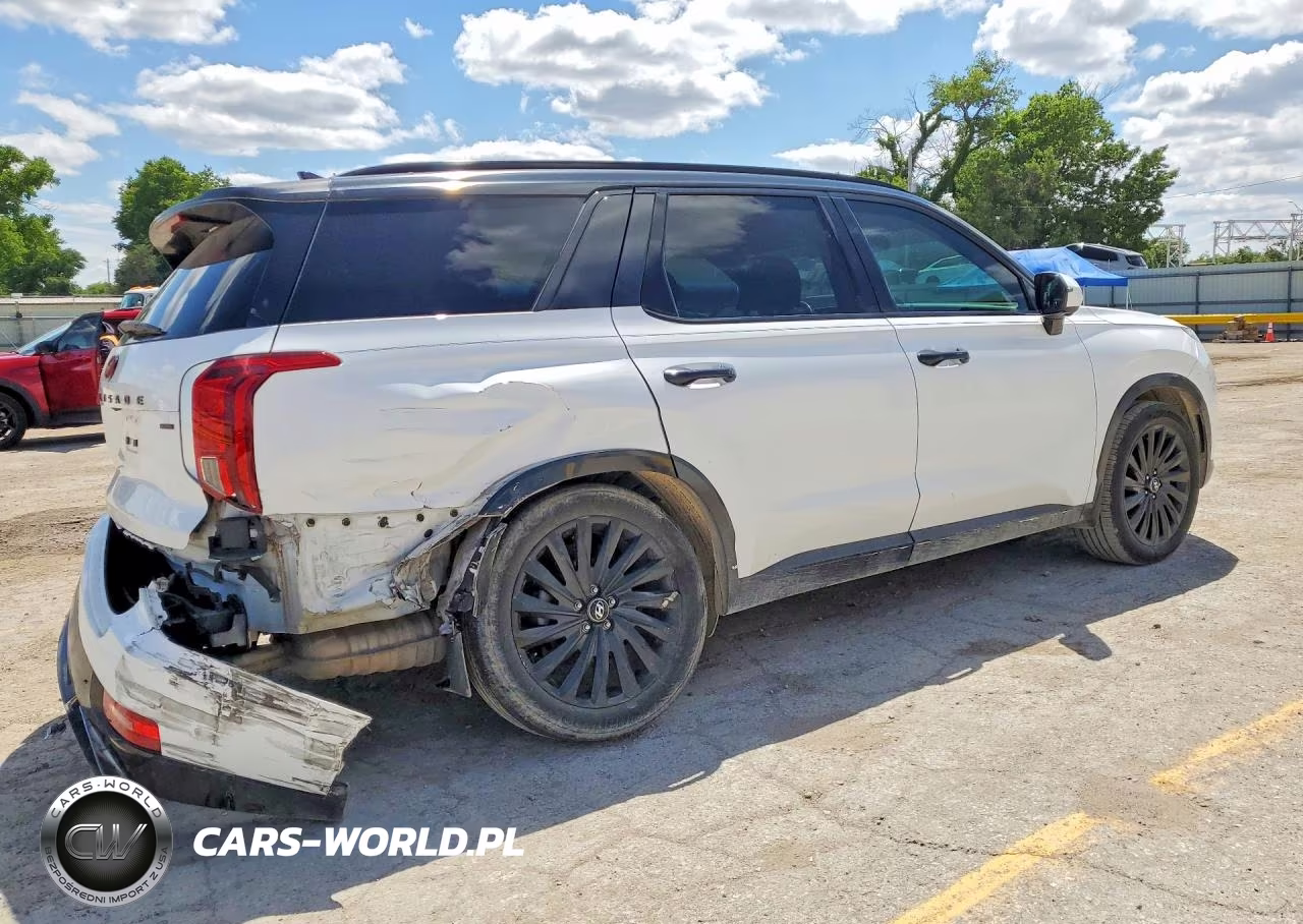 2020 Hyundai Palisade Limited VIN:KM8R5DHE0LU108546 - 3