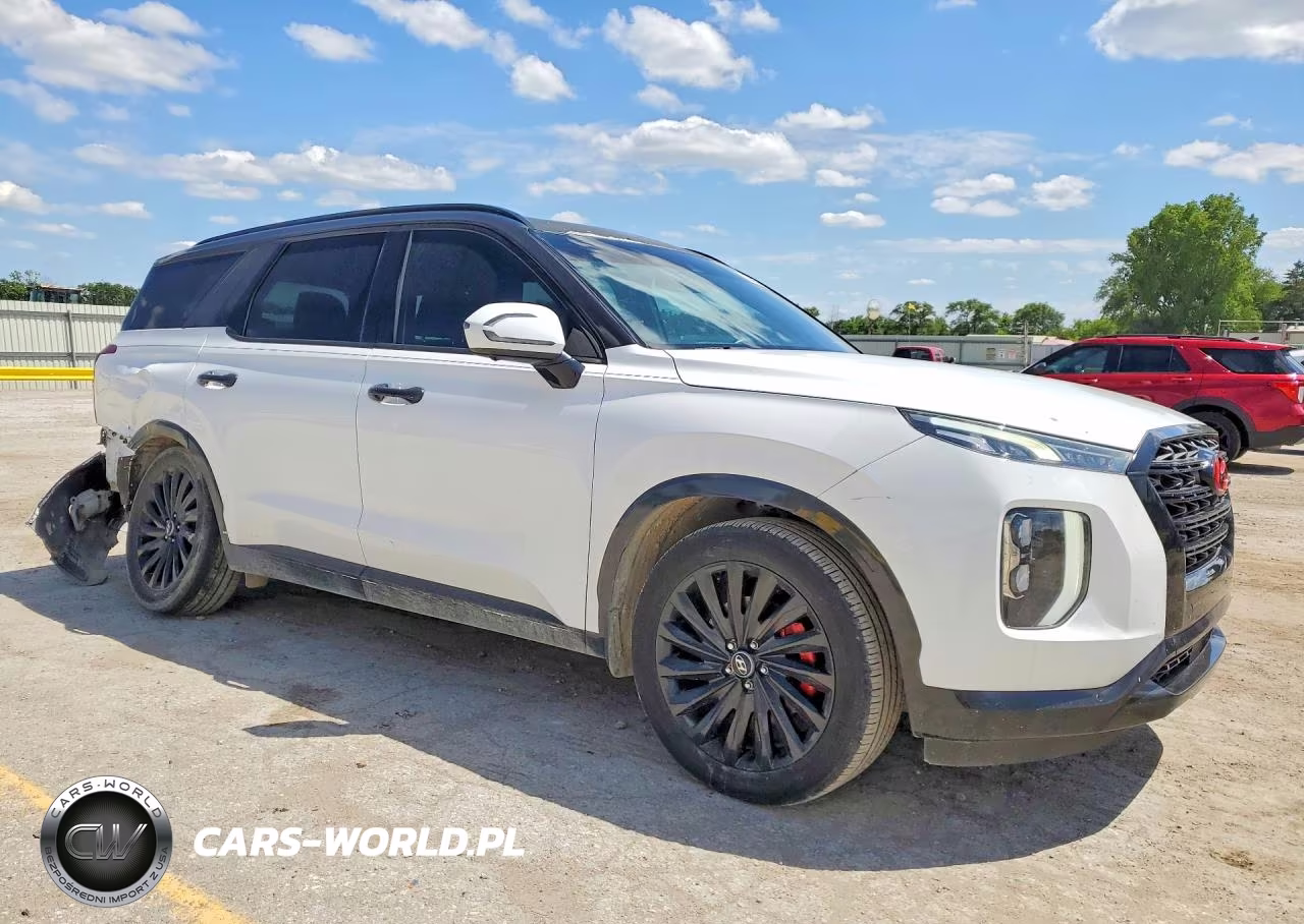 2020 Hyundai Palisade Limited VIN:KM8R5DHE0LU108546 - 4