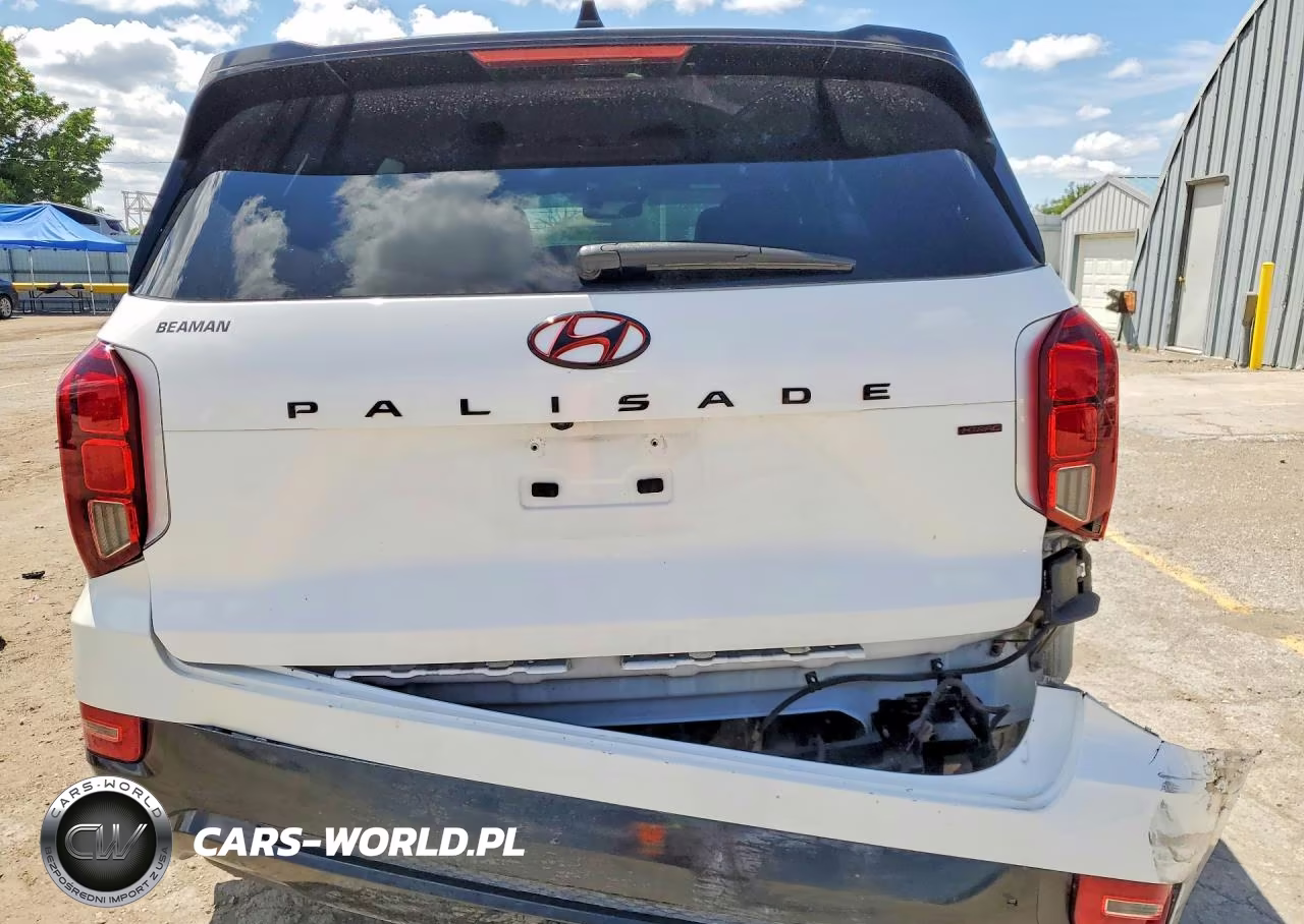 2020 Hyundai Palisade Limited VIN:KM8R5DHE0LU108546 - 6