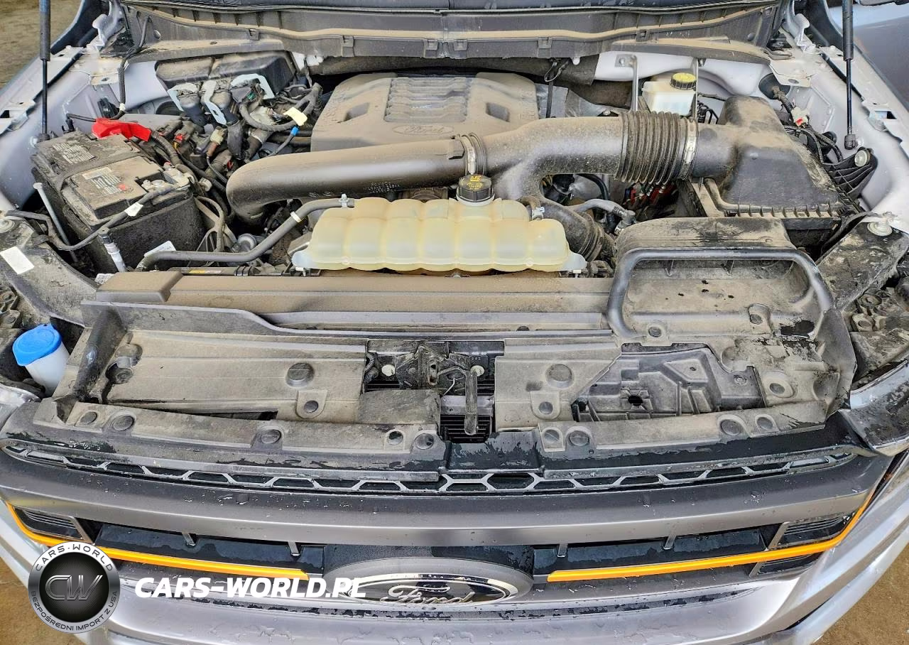 2023 Ford F150 Supercrew VIN:1FTEW1E89PFA10011 - 11