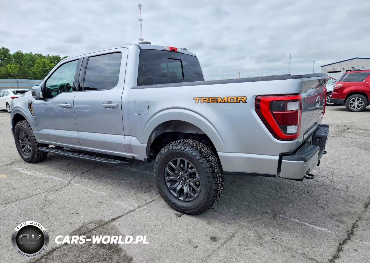 2023 Ford F150 Supercrew VIN:1FTEW1E89PFA10011 - 2