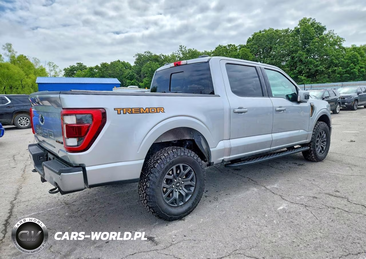 2023 Ford F150 Supercrew VIN:1FTEW1E89PFA10011 - 3