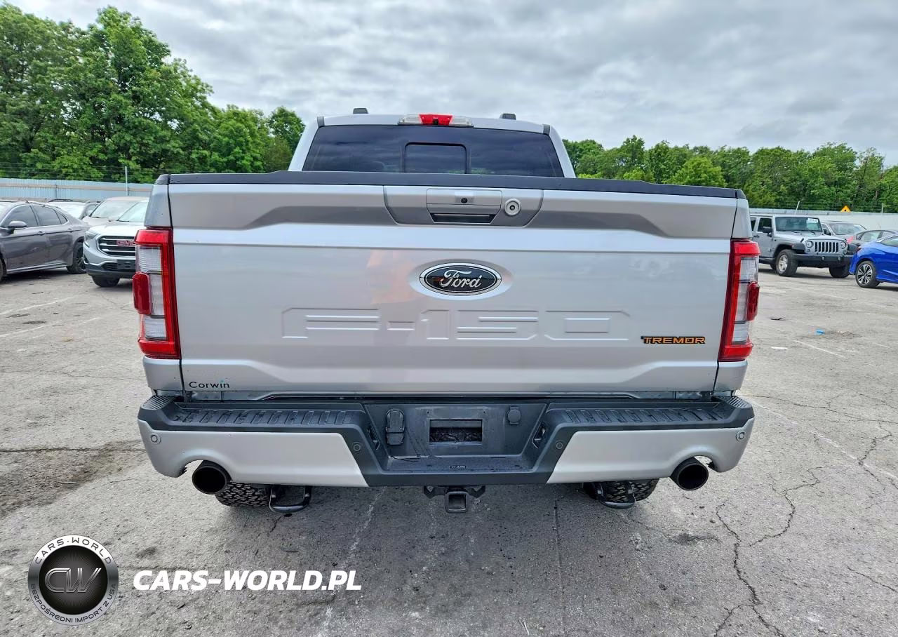 2023 Ford F150 Supercrew VIN:1FTEW1E89PFA10011 - 6