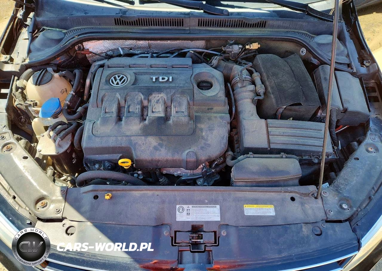 2015 Volkswagen Jetta Tdi VIN:3VWLA7AJ1FM263739 - 11