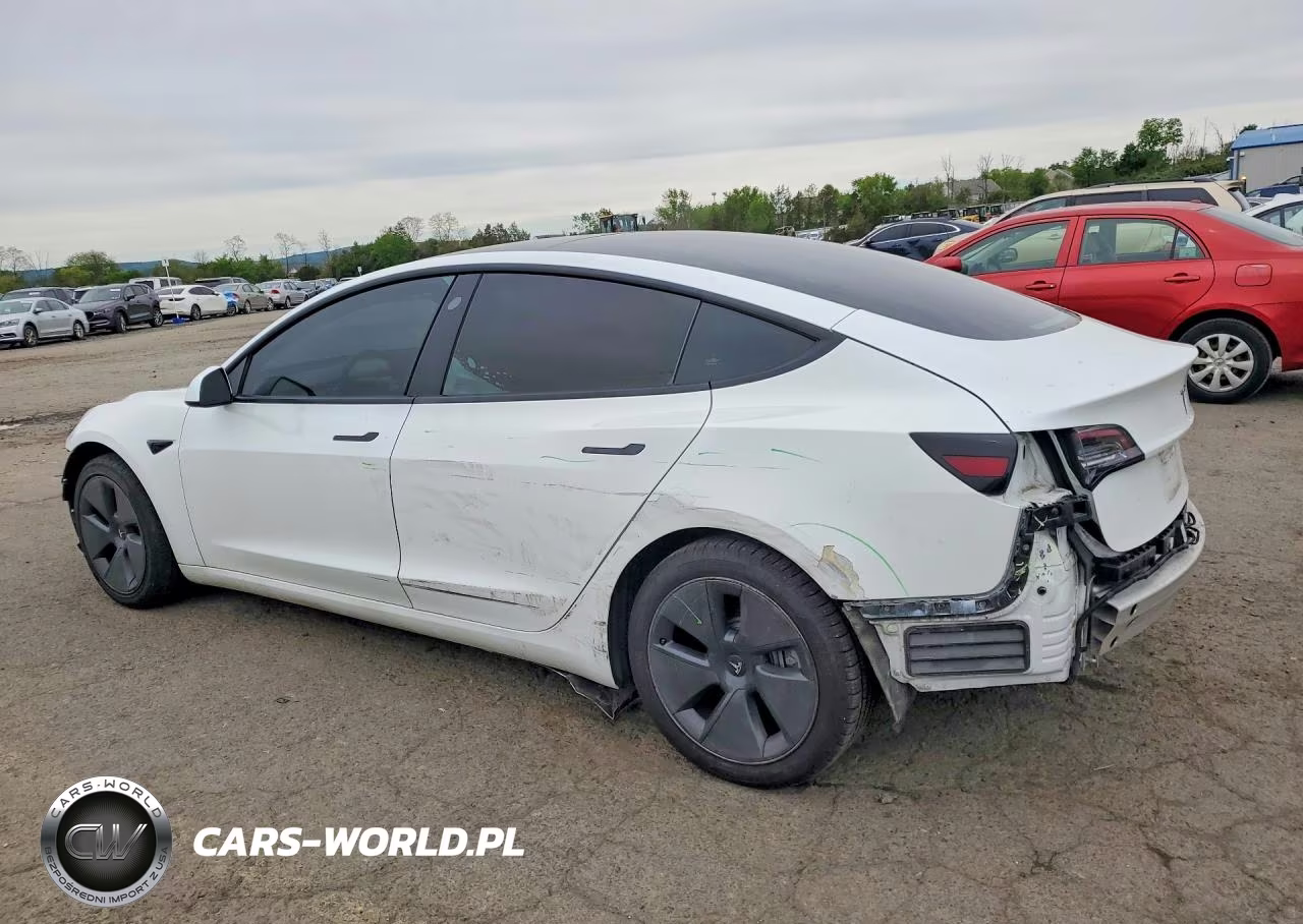 2021 Tesla Model 3 VIN:5YJ3E1EA3MF923473 - 2