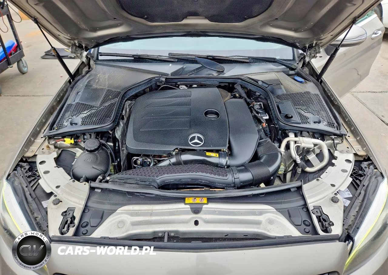 2019 Mercedes-Benz C 300 4Matic VIN:WDDWJ8EB1KF860432 - 11