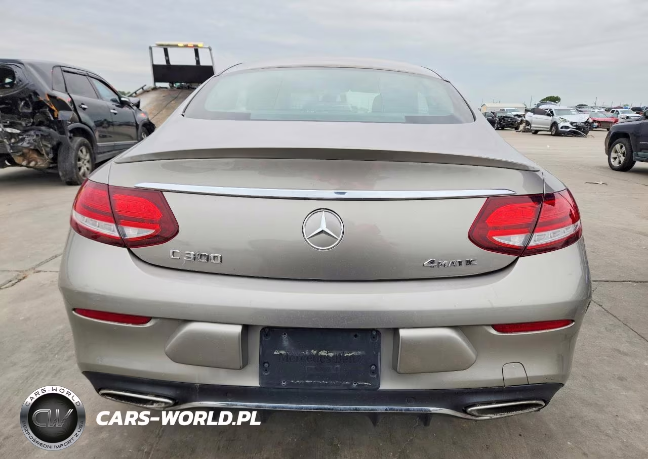 2019 Mercedes-Benz C 300 4Matic VIN:WDDWJ8EB1KF860432 - 6