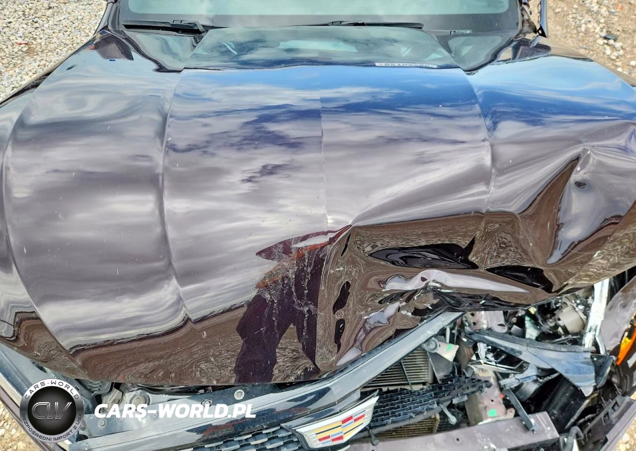 2020 Cadillac Ct4 Luxury VIN:1G6DA5RK3L0151552 - 11
