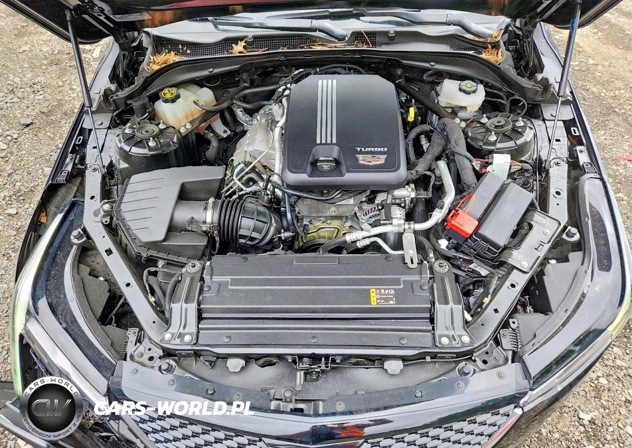 2022 Cadillac Ct4 Luxury VIN:1G6DJ5RK8N0137018 - 11