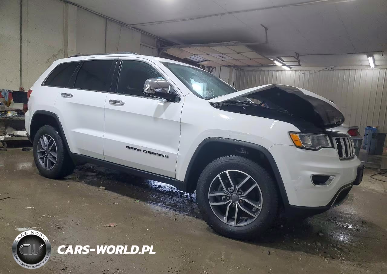 2019 Jeep Grand Cherokee Limited VIN:1C4RJFBG2KC696394 - 4