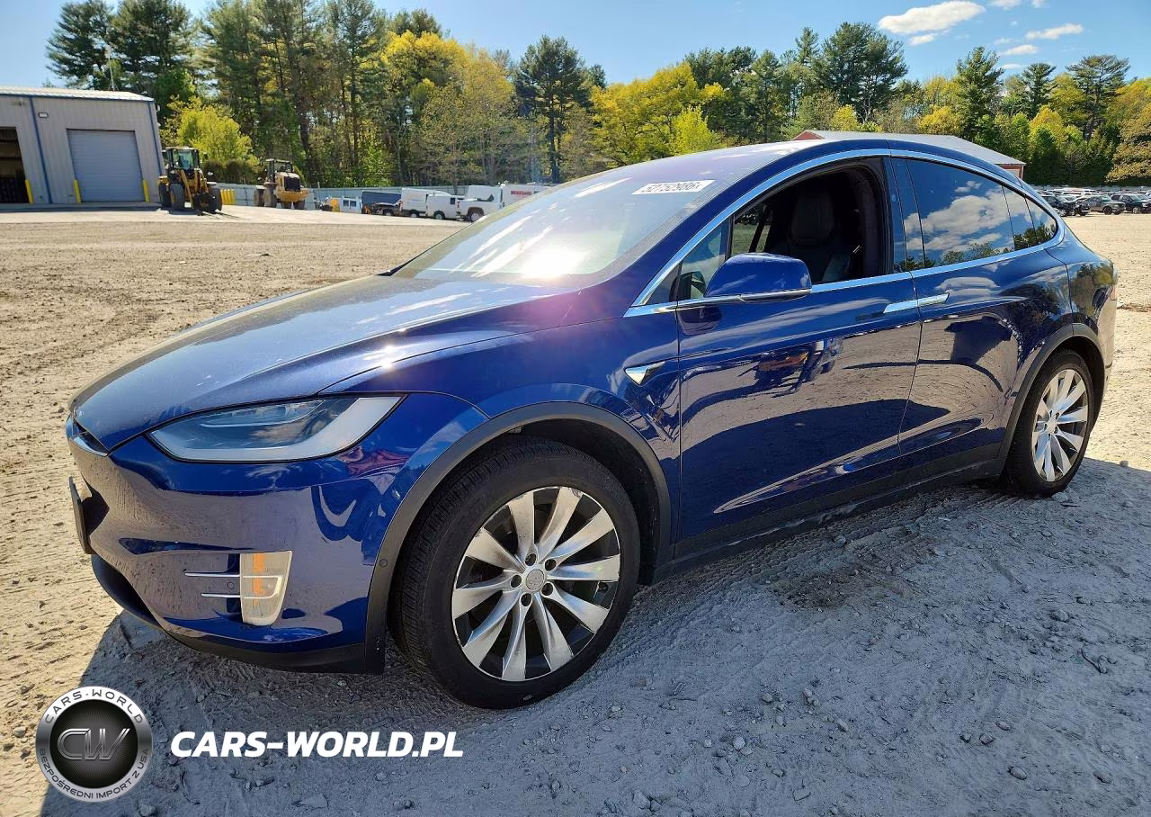 2019 Tesla Model X