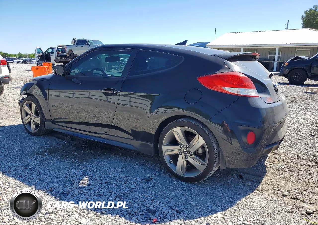 2014 Hyundai Veloster Turbo VIN:KMHTC6AEXEU184795 - 2