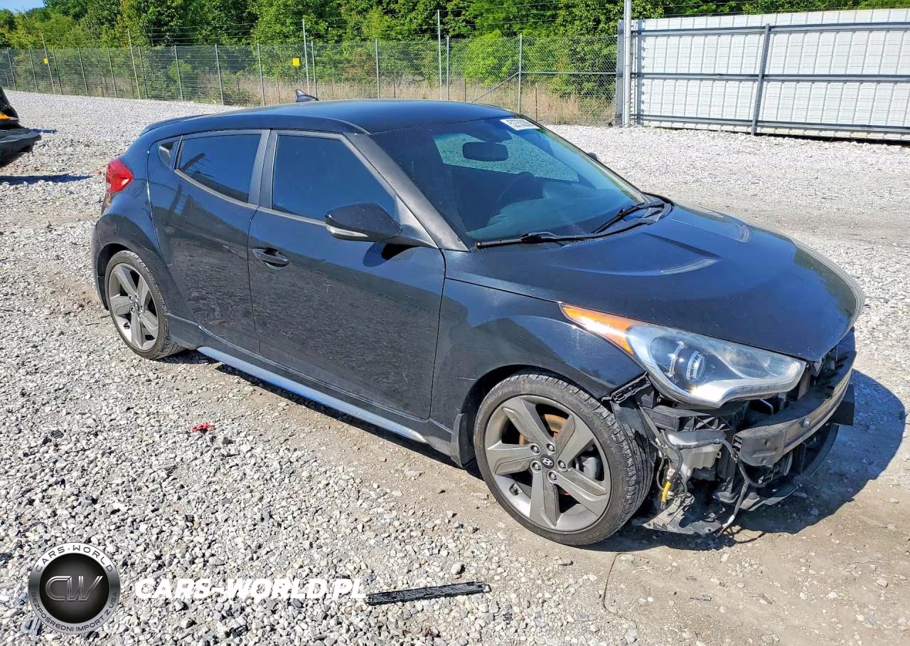 2014 Hyundai Veloster Turbo VIN:KMHTC6AEXEU184795 - 4