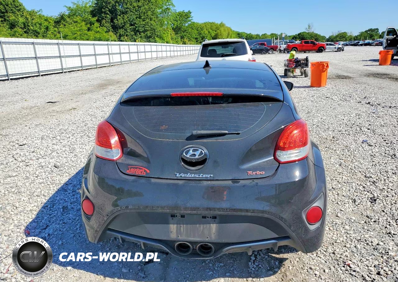 2014 Hyundai Veloster Turbo VIN:KMHTC6AEXEU184795 - 6