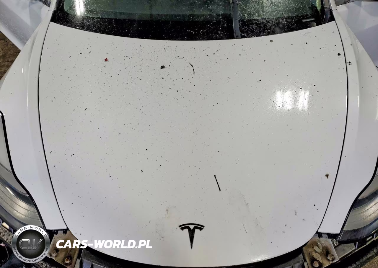 2018 Tesla Model 3 VIN:5YJ3E1EB8JF093884 - 11