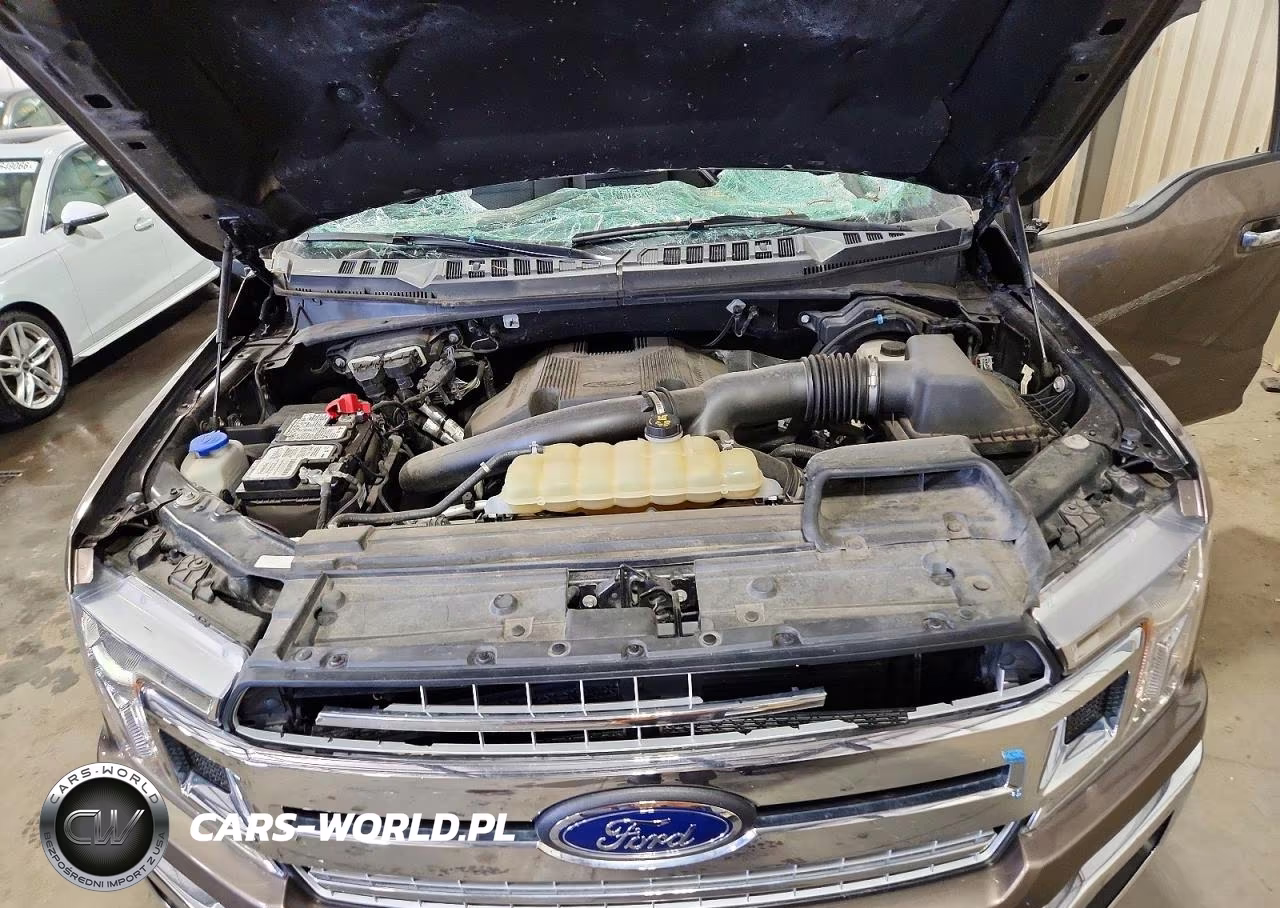 2019 Ford F150 Supercrew VIN:1FTEW1E44KKD90064 - 11
