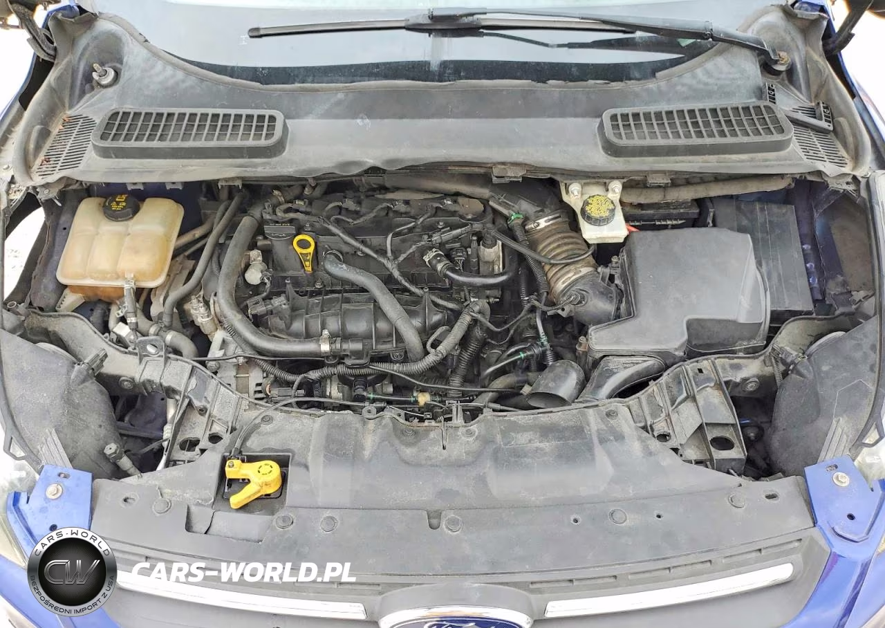 2016 Ford Escape Se VIN:1FMCU0GX5GUC10256 - 12