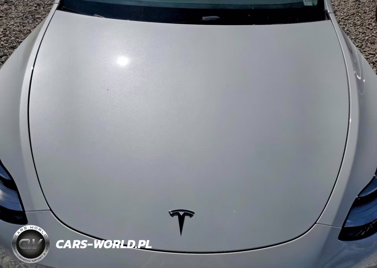 2023 Tesla Model Y VIN:7SAYGDEE8PA097762 - 11