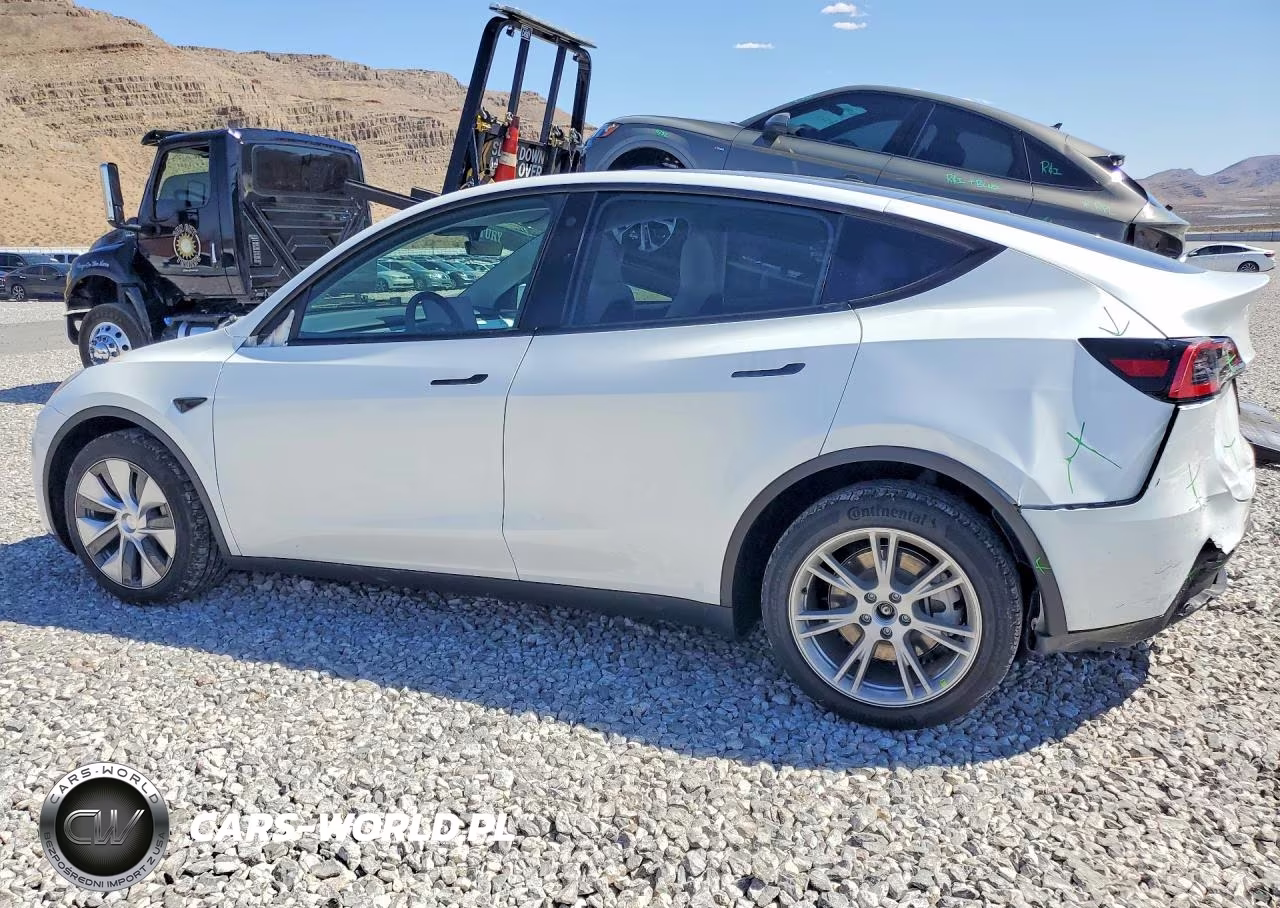 2023 Tesla Model Y VIN:7SAYGDEE8PA097762 - 2