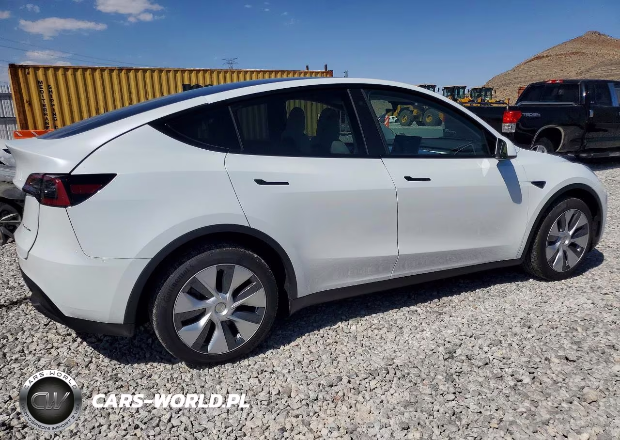 2023 Tesla Model Y VIN:7SAYGDEE8PA097762 - 3