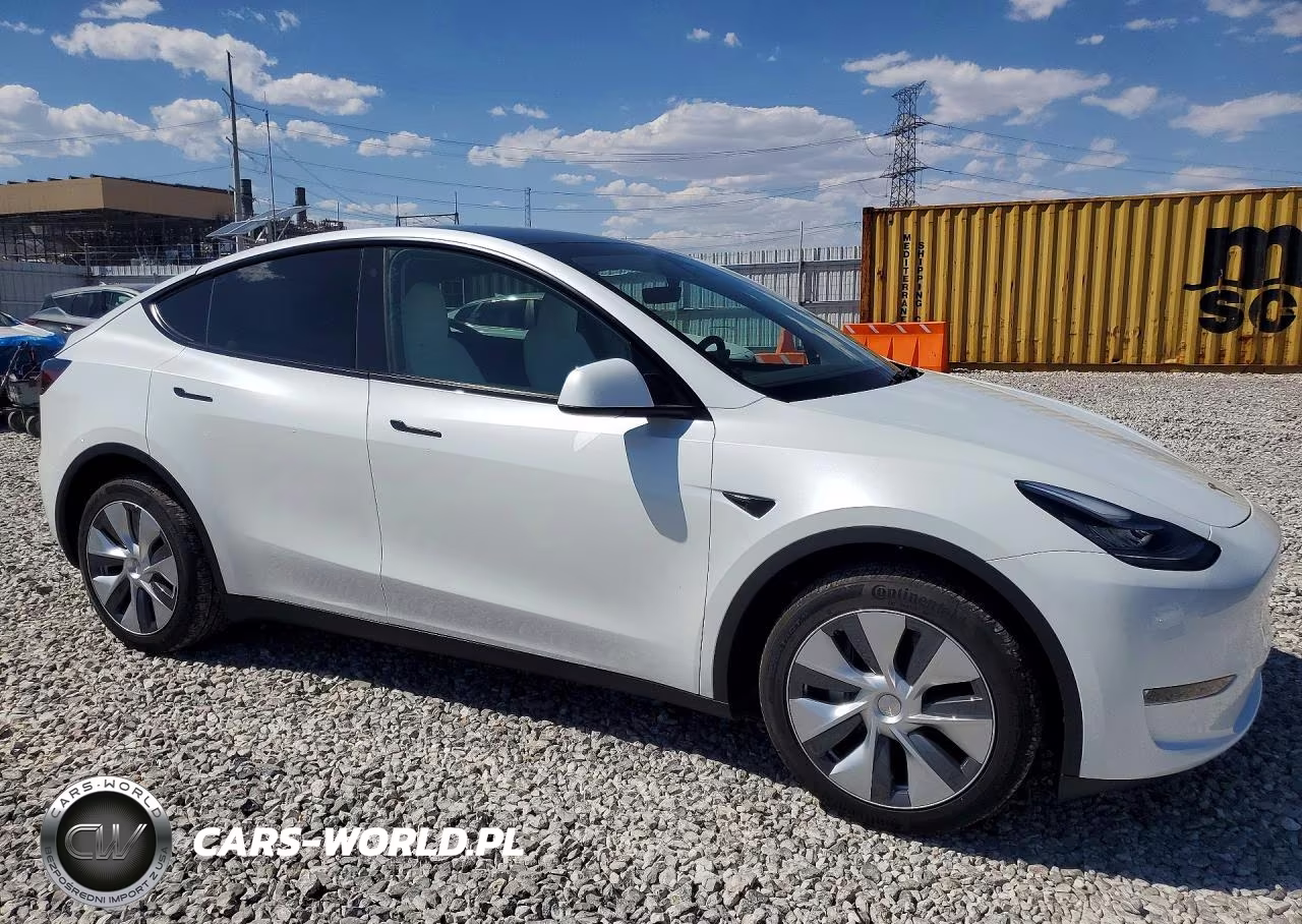 2023 Tesla Model Y VIN:7SAYGDEE8PA097762 - 4