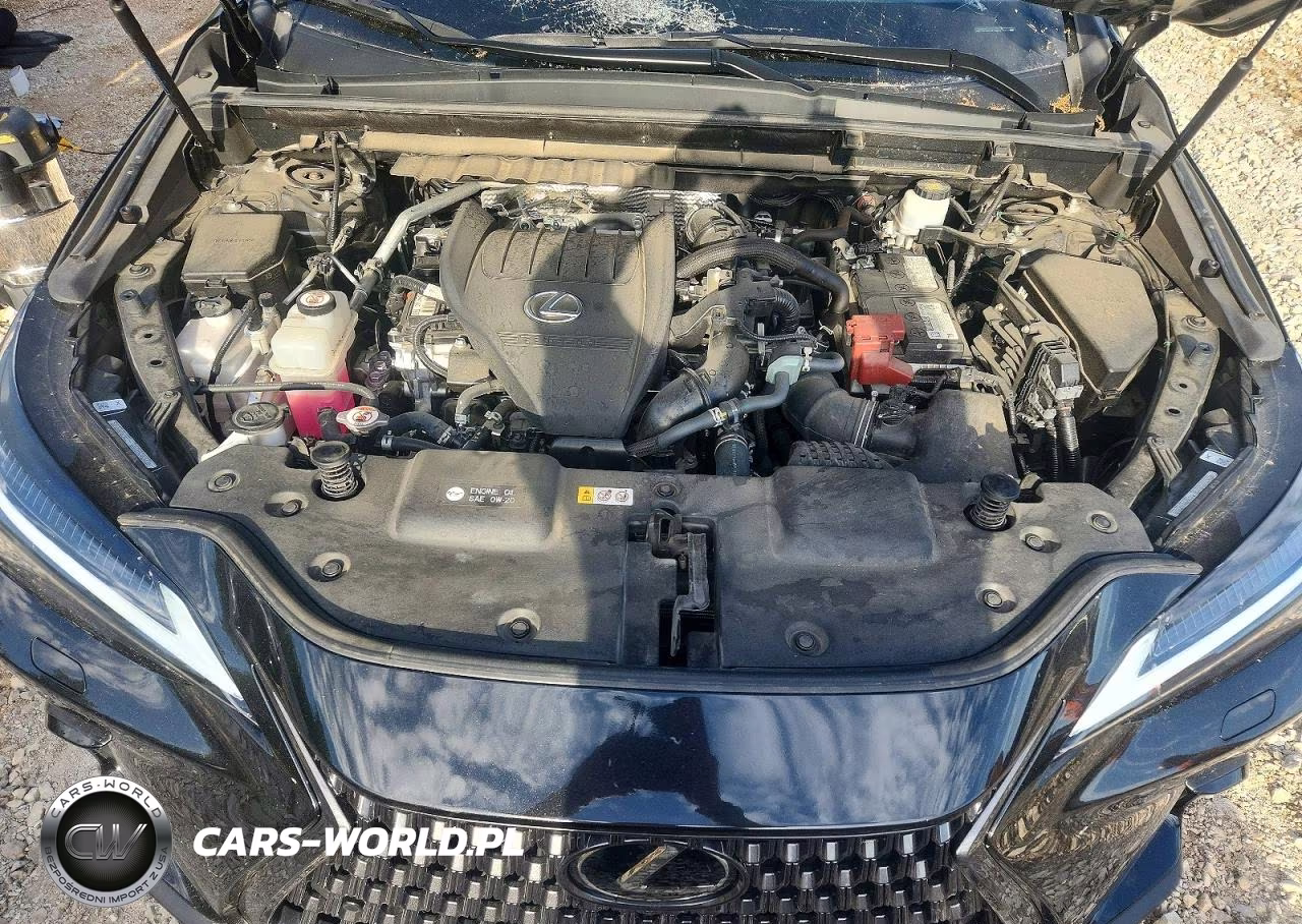 2024 Lexus Nx 350 Luxury VIN:2T2HGCEZ1RC033773 - 11