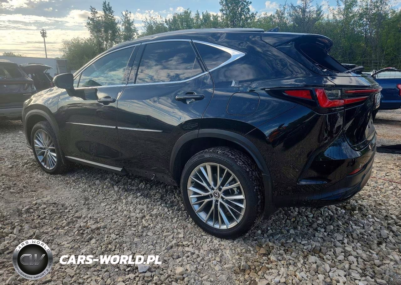 2024 Lexus Nx 350 Luxury VIN:2T2HGCEZ1RC033773 - 2