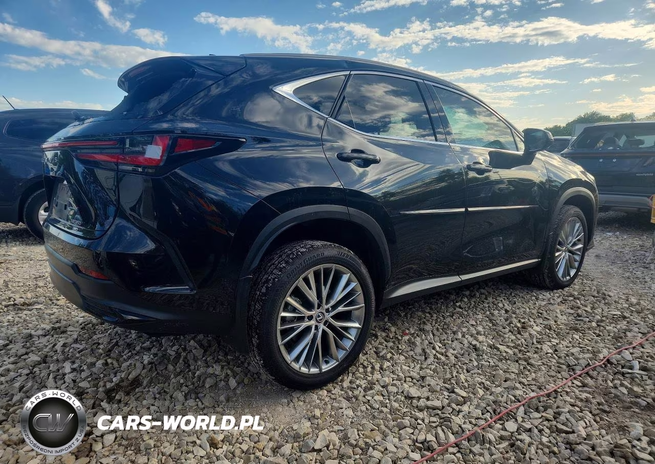 2024 Lexus Nx 350 Luxury VIN:2T2HGCEZ1RC033773 - 3