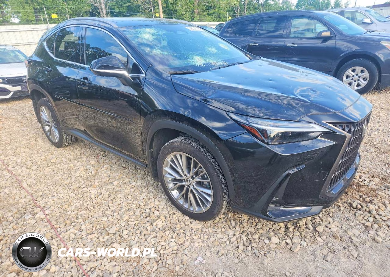 2024 Lexus Nx 350 Luxury VIN:2T2HGCEZ1RC033773 - 4