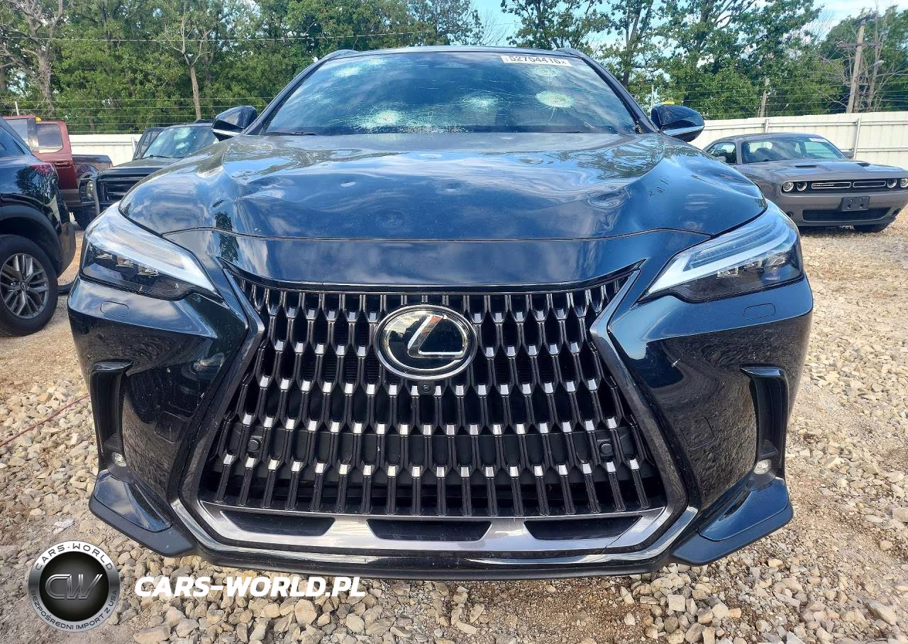 2024 Lexus Nx 350 Luxury VIN:2T2HGCEZ1RC033773 - 5