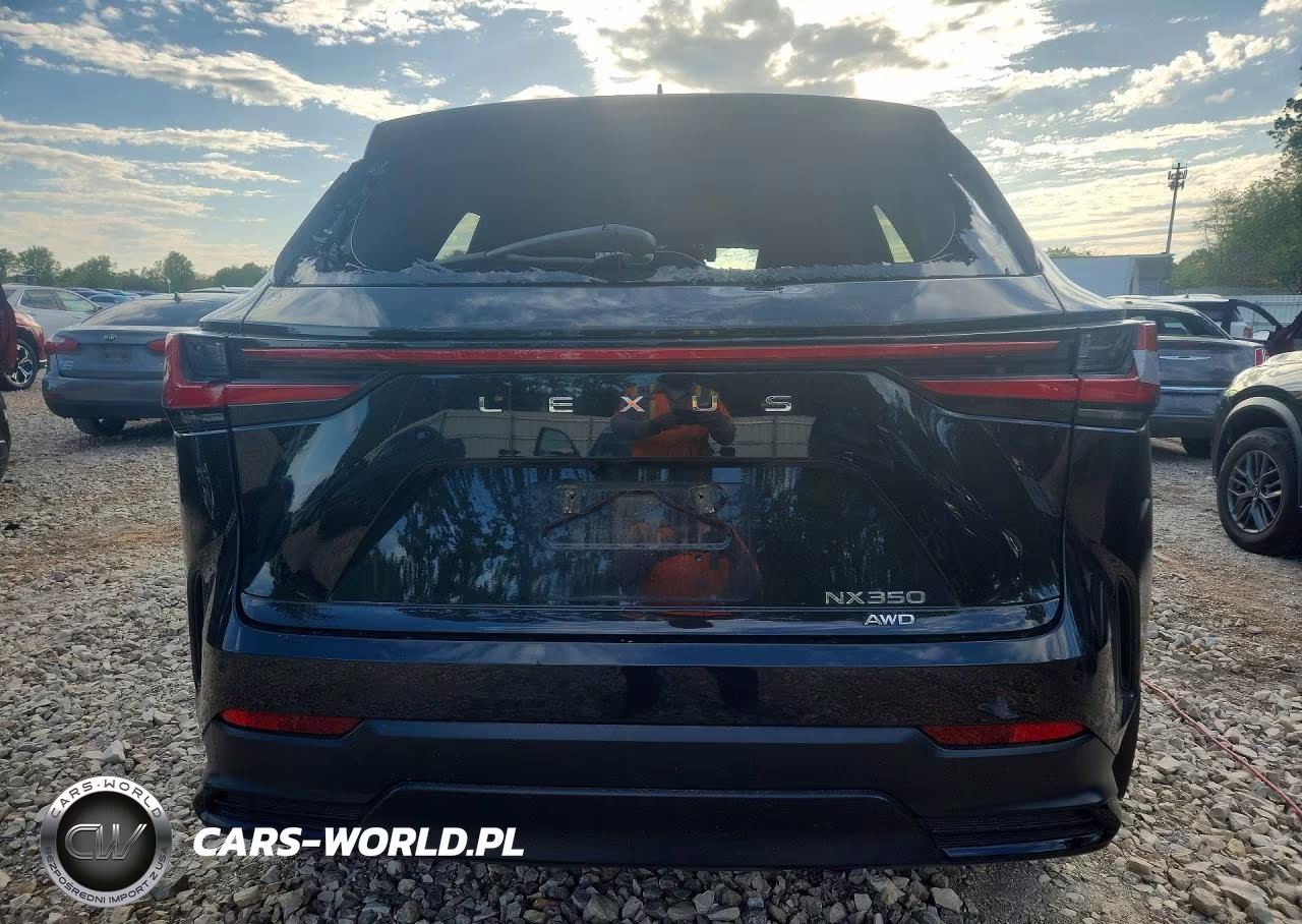 2024 Lexus Nx 350 Luxury VIN:2T2HGCEZ1RC033773 - 6