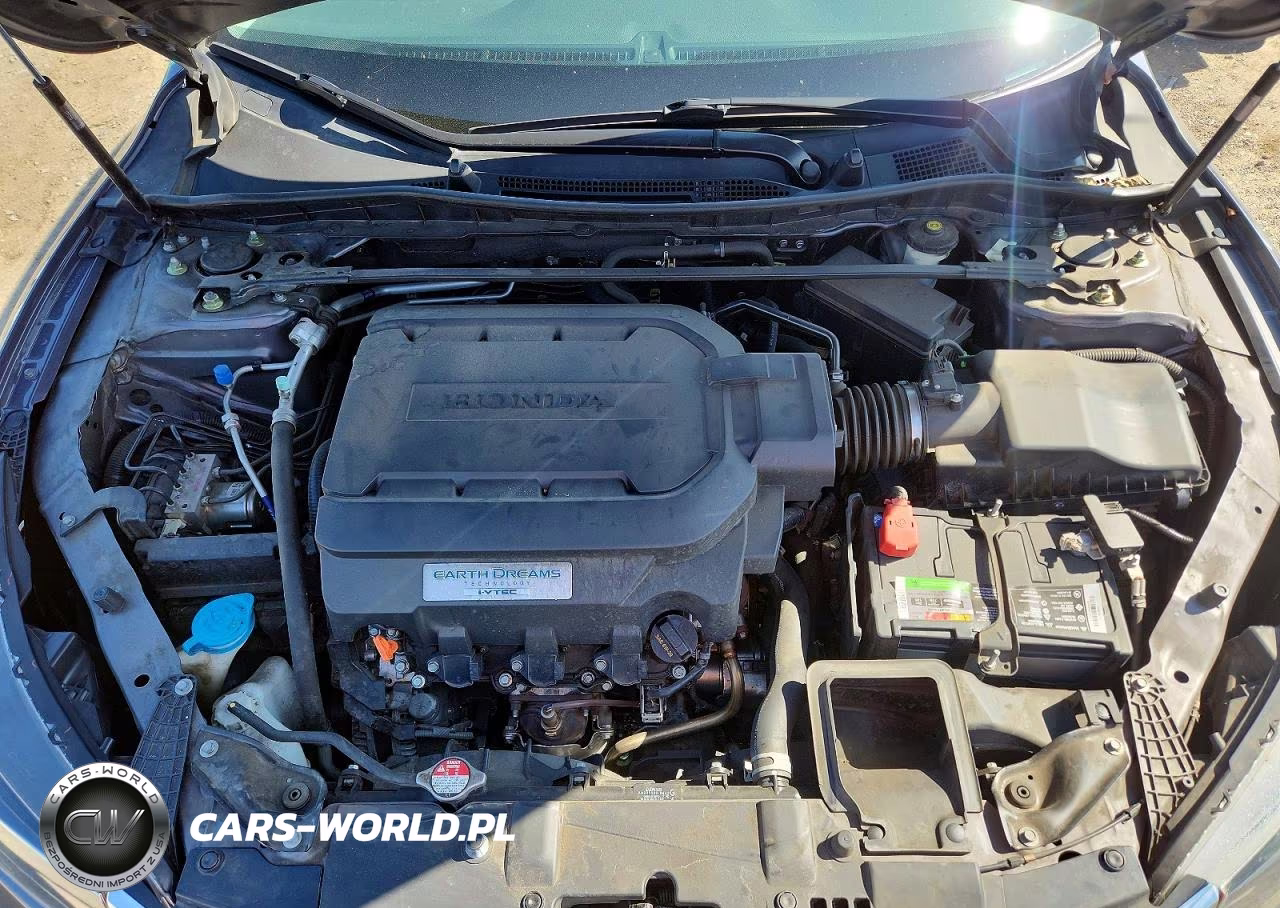 2014 Honda Accord Exl VIN:1HGCR3F80EA043581 - 11