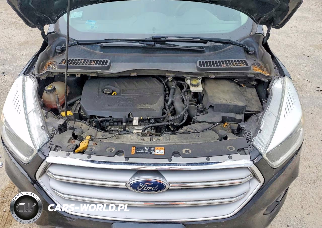 2016 Ford Escape VIN:1FMCU9GD4HUA31850 - 12