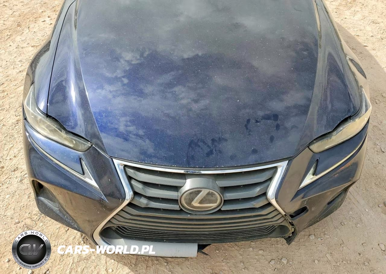2019 Lexus Is 300 VIN:JTHBA1D25K5093643 - 11