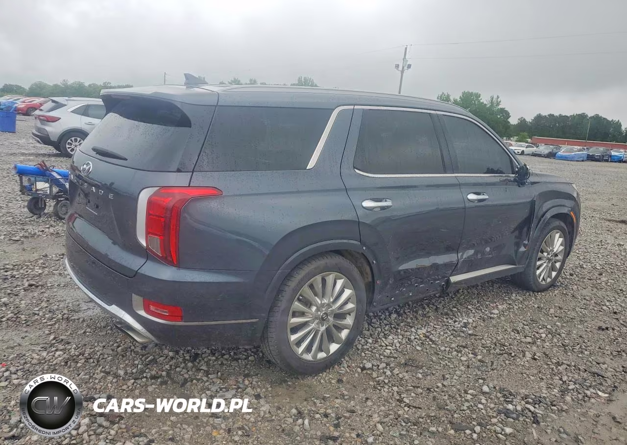 2020 Hyundai Palisade Limited VIN:KM8R54HE7LU031688 - 3