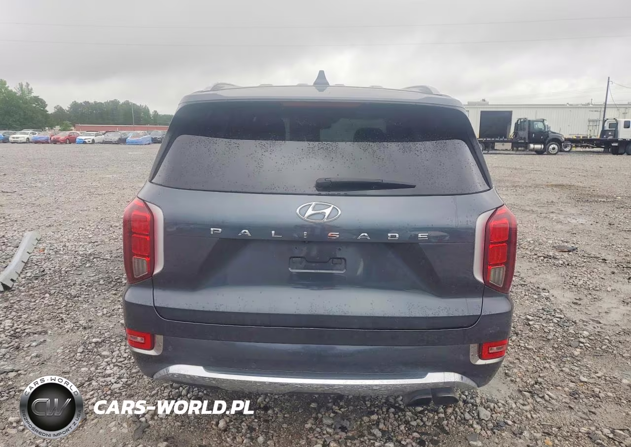 2020 Hyundai Palisade Limited VIN:KM8R54HE7LU031688 - 6