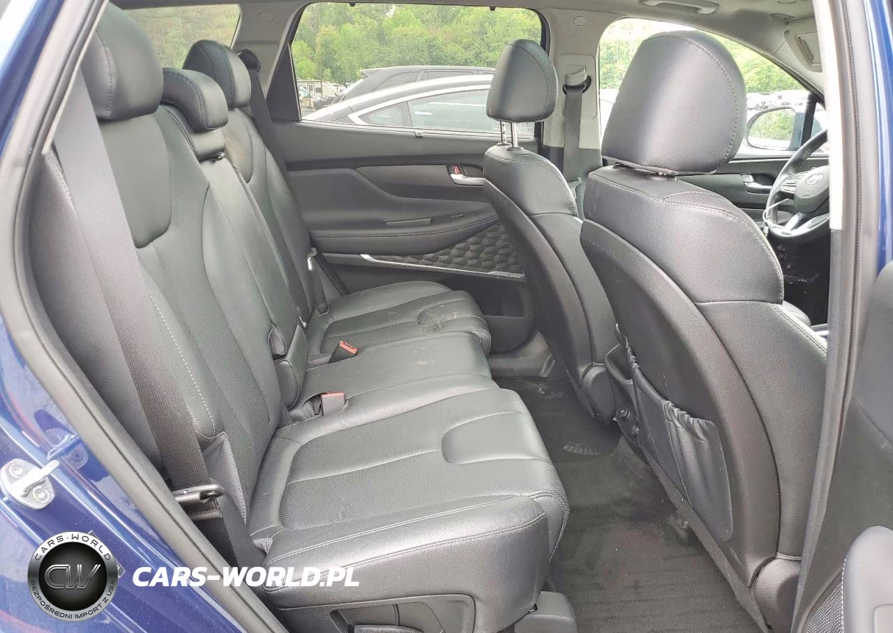 2020 Hyundai Santa Fe Sel VIN:5NMS3CAD5LH265634 - 10