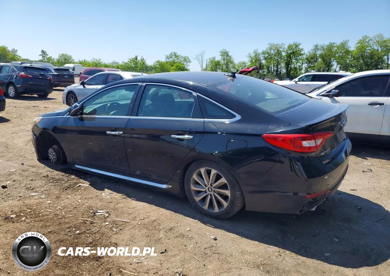 2016 Hyundai Sonata Sport VIN:5NPE34AF6GH283072 - 2
